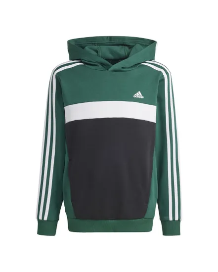 Sweat à capuche Enfant J 3S TIB FL HD Vert