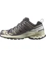 Chaussures de trail Femme SHOES XA PRO 3D V9 GTX W 9 Beige