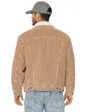 Veste Homme Relaxed Fit Sherpa Trkr