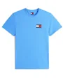 T Homme TJM SLIM ESSENTIAL FLAG TEE EXT Bleu