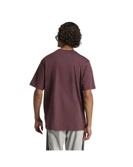 T-shirt Homme M LIN SJ T Marron