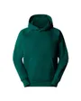 Sweat à capuche Homme M RAGLAN BOX NSE HOODIE Vert