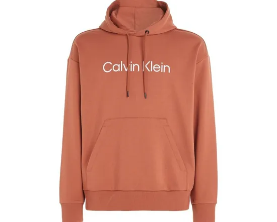 Sweat à capuche Homme HERO LOGO COMFORT HO Rouge