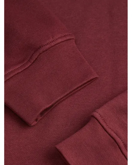 Sweat à capuche Femme JXABBIE RLX LS EVERY HOOD SWT NOOS Bordeaux