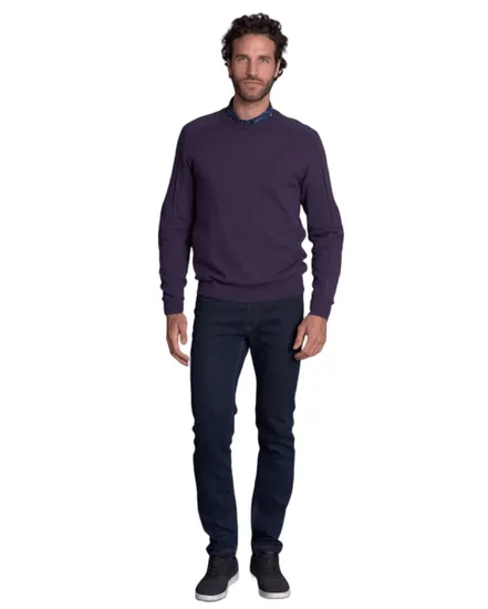 Pull col rond Homme TRANQUILLE Violet