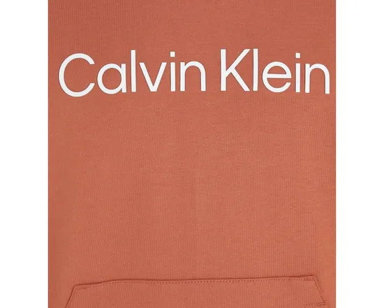 Sweat à capuche Homme HERO LOGO COMFORT HO Rouge