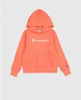 Sweat à capuche Enfant HOODED SWEATSHIRT Orange