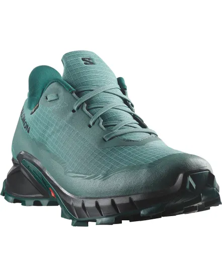 Chaussures de trail Homme SHOES ALPHACROSS 5 GTX Bleu