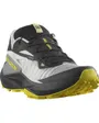 Chaussures de trail Homme SHOES GENESIS Noir