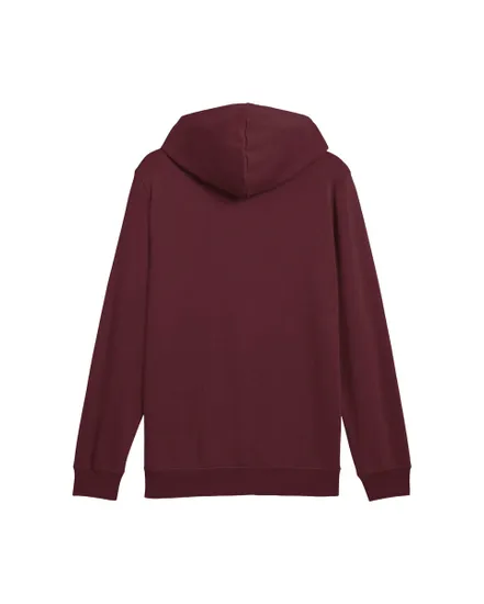 Sweat à Capuche Homme Ess 2 Color Small No 1 Logo