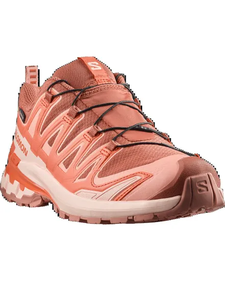 Chaussures Trail Femme XA PRO 3D V9 GTX
