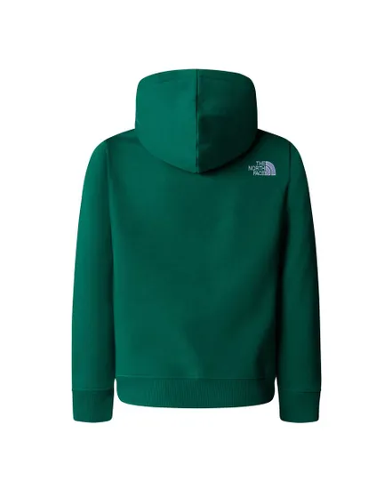 Sweat à capuche Enfant B DREW PEAK P/O HOODIE Vert