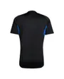 Maillot Entraînement Homme MUFC EU TR JSY