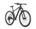 VTT semi rigide Homme MS 9.9 Noir/Or