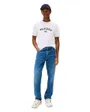 Tee shirt Homme Hilfiger Flock