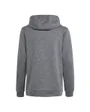 Sweat à capuche Enfant J HEA HOODIE Gris