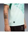Maillot de football Homme FPF AWAY JERSEY REPLICA Vert