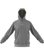 Sweat a capuche manches longues Homme M BL HD Gris