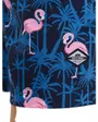Short De Bain Homme JPSTMAUI Vibes Novelty