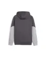 Sweat zip à capuche Homme MCFC PUMATECH FZ HOO Gris
