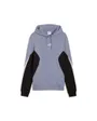 Sweat à capuche Homme ESS BLOCK HOODIE TR
