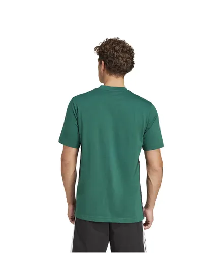 T-shirt Homme M 3S SJ T Vert