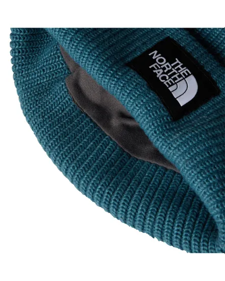 Bonnet SALTY LINED BEANIE Bleu