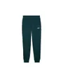 Pantalon Homme ESS 2 Color No 1 Logo