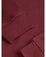 Sweat à capuche Femme JXABBIE RLX LS EVERY HOOD SWT NOOS Bordeaux