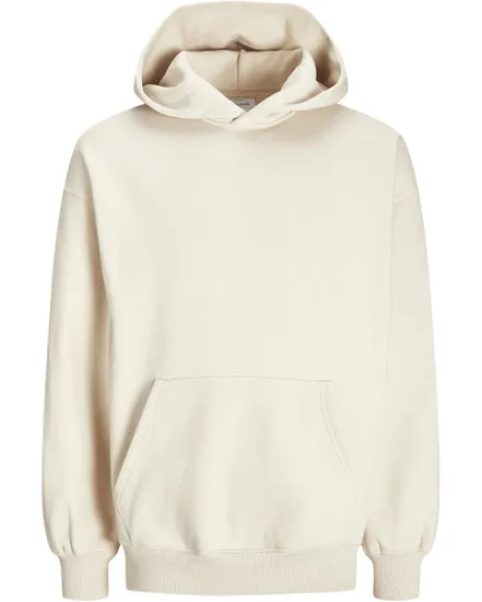 Sweat à Capuche Homme JJEURBAN Edge