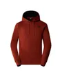 Sweat à capuche manches longues Homme M SEASONAL DREW PEAK PULLOVER - EU Marron