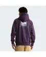 Sweat Homme M RAGLAN BOX NSE REGULAR HOODIE Violet