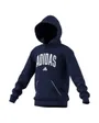 Sweat à capuche Enfant J CLGT OH FL HD Bleu