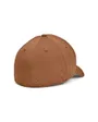 Casquette Homme MEN S UA BLITZING Marron