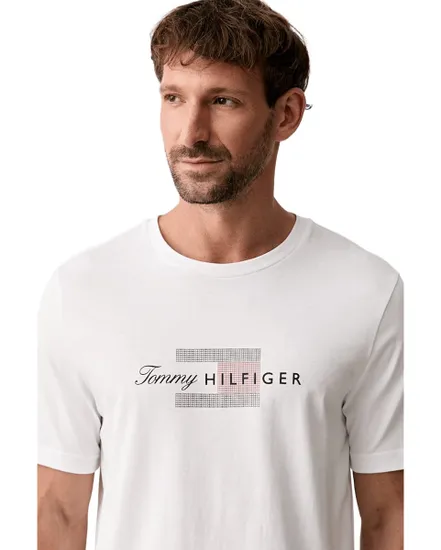 Tee-Shirt Homme Script Flag Regular