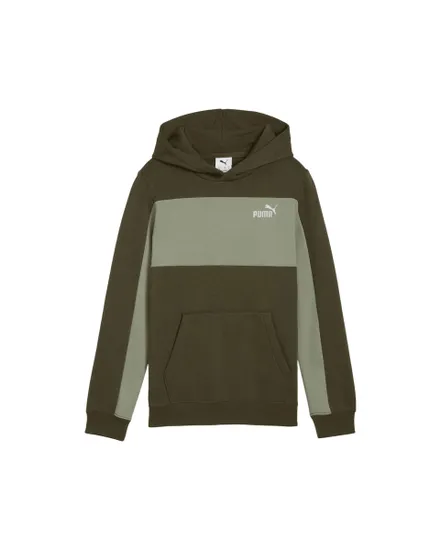 Sweat À Capuche Homme Ess Block Logo