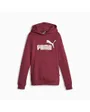 Sweat à capuche manches longues Enfant G ESSLOG HDY FL Bordeaux