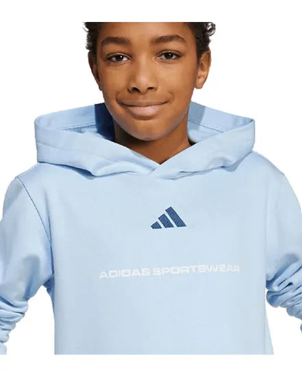 Sweat à Capuche Homme B FL HD