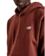 Sweat à capuche Homme SE FL HD