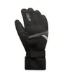 Gants de ski Homme STYL 2 M C-TEX Gris