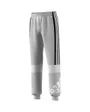 Pantalon de sport enfant B CB FL C PT Gris