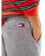 Short Homme Linen Blend Stripe