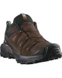 Chaussures de randonnée Homme SHOES X ULTRA 360 LTR GTX Marron