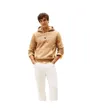 Sweat à Capuche Homme Tommy Logo Hoody