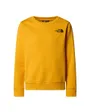 Sweat-Shirt Fille Summit Gold The North Face