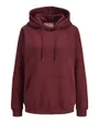 Sweat à capuche Femme JXABBIE RLX LS EVERY HOOD SWT NOOS Bordeaux
