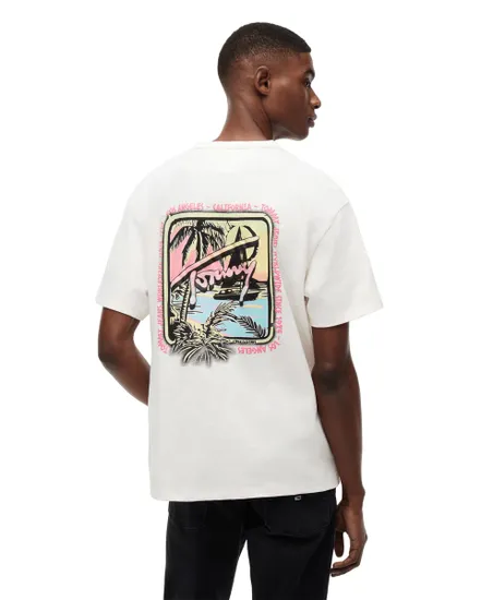 Tee Shirt Homme RLX Novelty