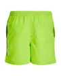 JPSTFIJI JJSWIM SPICELOGO LY SN JNR