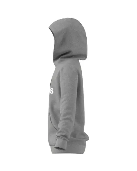 Sweat a capuche manches longues Enfant U BL 2 HOODIE Gris