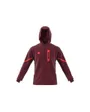 Sweat a capuche manches longues Homme M D4GMDY FZHD Rouge